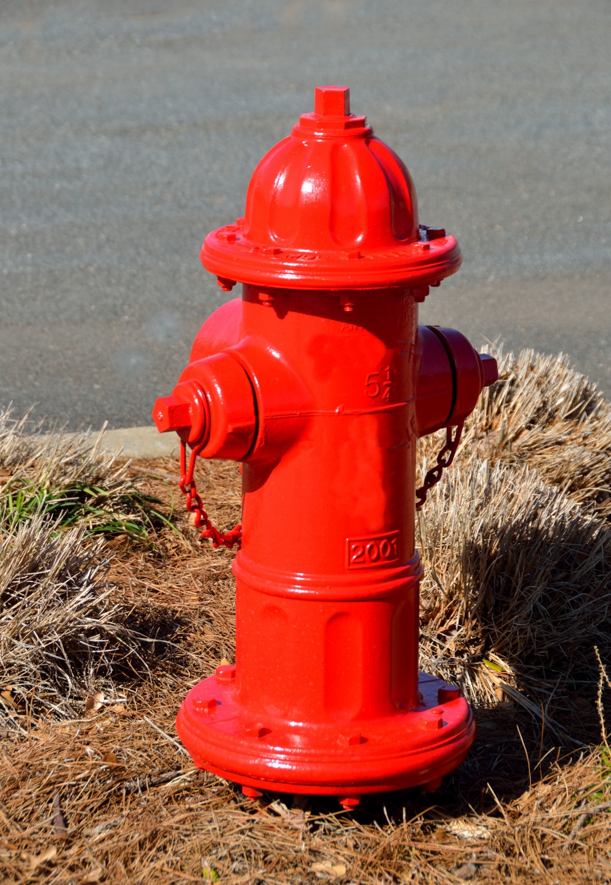 fire_hydrant_red_hydrant_safety_emergency_plug_protection_rescue-1276916