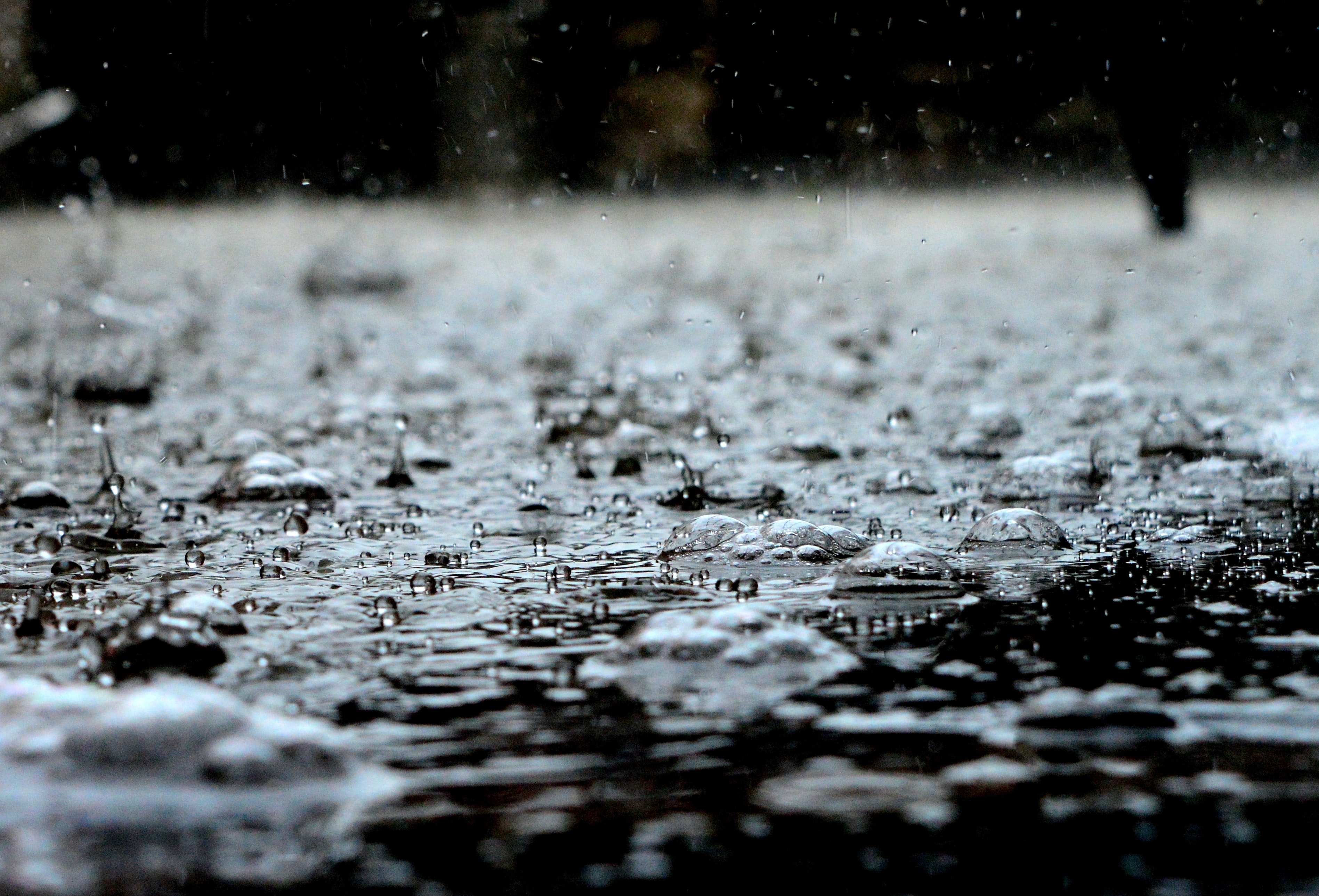 rain-drops-459451